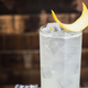 Illustration for article titled The Effervescent Delight of a Properly Made Tom Collins